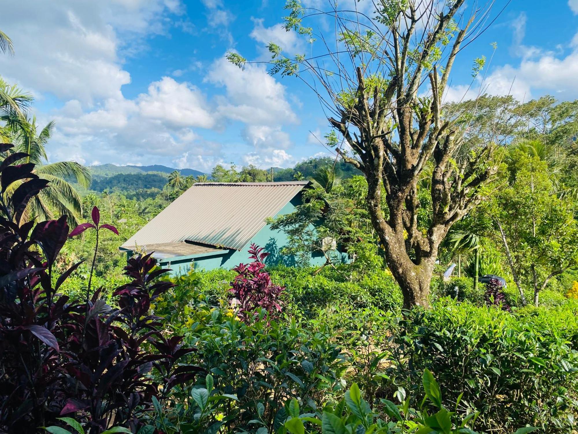 Rainforest Mount Lodge Деніяя Екстер'єр фото