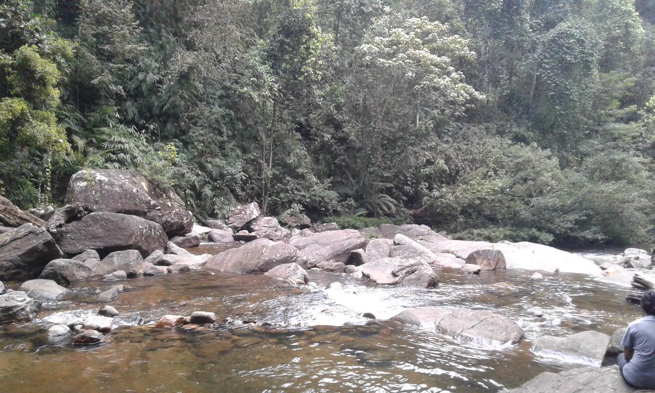 Rainforest Mount Lodge Деніяя Екстер'єр фото