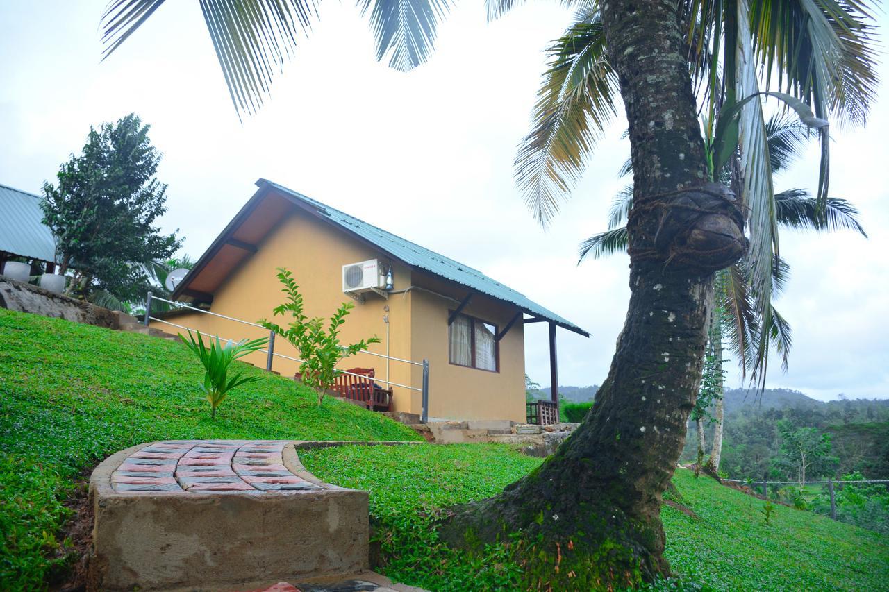 Rainforest Mount Lodge Деніяя Екстер'єр фото