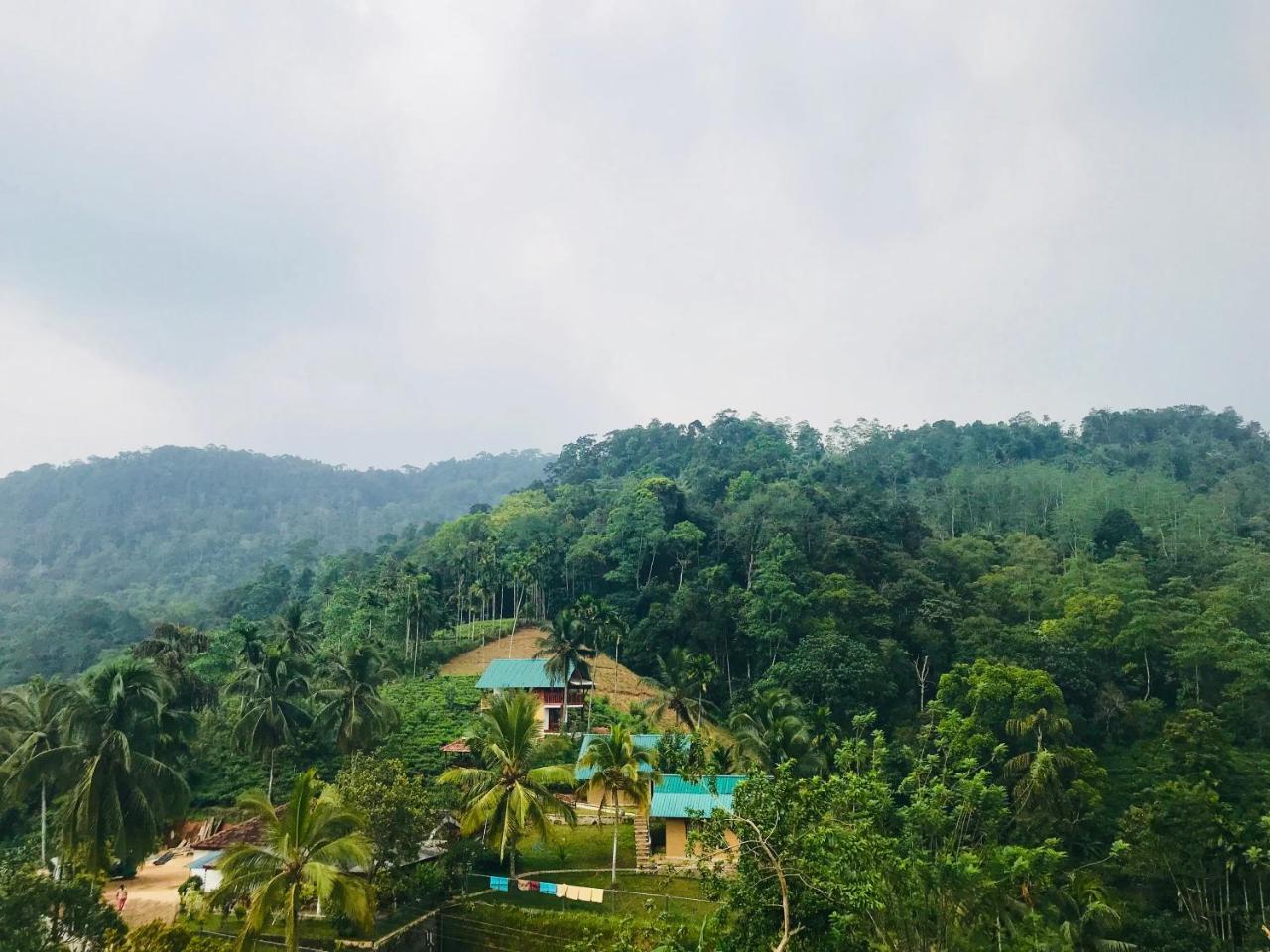 Rainforest Mount Lodge Деніяя Екстер'єр фото